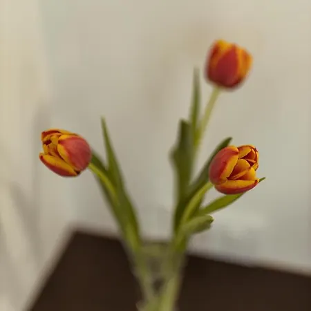 Vuk Апарт-отель 4*